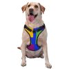 Dog Harness