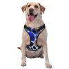 Dog Harness