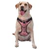 Dog Harness