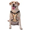 Dog Harness