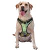 Dog Harness